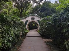-广州兰圃
