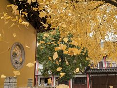 -上海青龙寺