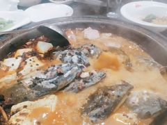 -肥鱼屯活鱼锅(惠工街店)