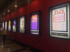 -万达影城(锦华万达广场IMAX店)