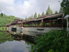 -重庆彩云湖湿地公园
