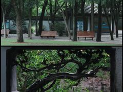 -汇龙潭