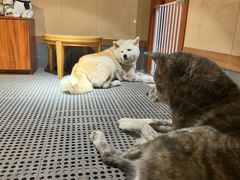 -大江户·温泉洗浴(浑南店)