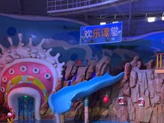 -烟台海昌鲸鲨海洋公园