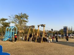 -上海长兴岛郊野公园