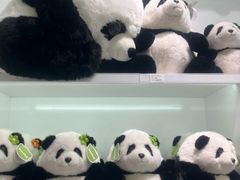 -广州白云国际机场-T2航站楼