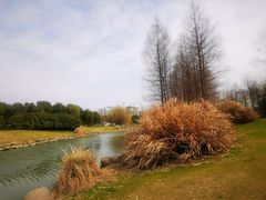 -九里河湿地公园