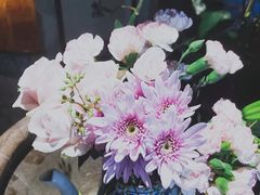 -馬蘭花開(车站大道店)