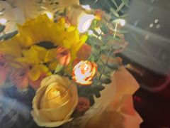 -杨氏青龙虾·羊蝎子(托乐嘉店)