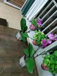 -白壁上妍の日式美肌·徒手小颜整骨院