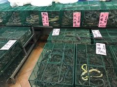 -荔城生鲜盛宴(番禺旗舰店)