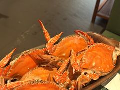 -牛New寿喜烧(金鹰世界店)