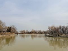 -盐城丹顶鹤湿地生态旅游区