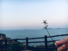 -杨梅坑