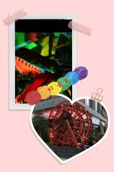 -恐龙探索乐园(磁器口店)