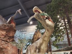 -湖南省地质博物馆