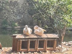 -昆明动物园