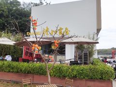 -仙湖旅游度假区