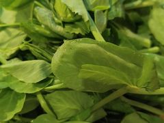 -串掌门砂锅串串香(后瑞店)