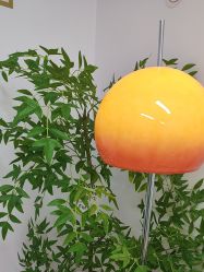 -变美丽半永久纹眉连锁·机器野生眉·洗眉