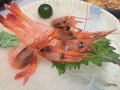 -衣川小森林·料理·寿司(鸿铭中心店)