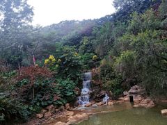 -广州市帽峰山景区