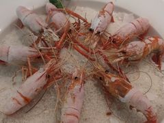 -新兴家喻酒家·羊城名宴(昌岗店)