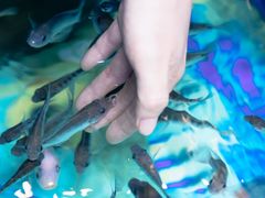 -泰国鱼疗足疗馆