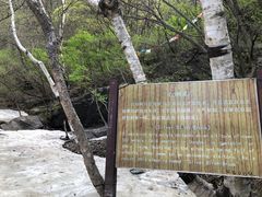 -双龙峡