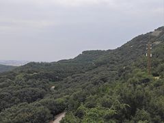 -北京西山国家森林公园