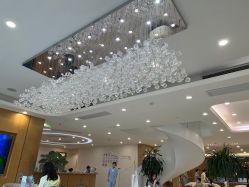 -智美品质医美