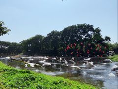 -广州长隆飞鸟乐园