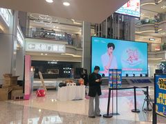-红星美凯龙北京至尊MALL(东四环中路店)