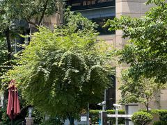 -苏浙汇(肇嘉浜路总店)