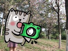 -火炉山森林公园
