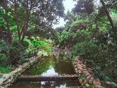 -成都市活水公园