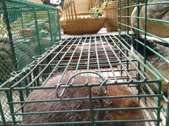 -百丈园(陈村店)