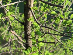 -仙海旅游度假区