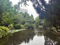 -叶家花园