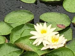 -丝绸小镇荻港古村