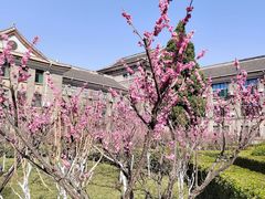 -山东师范大学(千佛山校区)