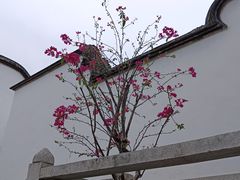 -乌山风景区