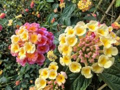 -双龙潭生态运动景区