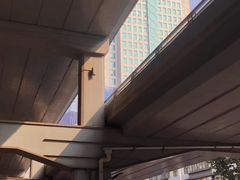 -华中科技大学同济医学院附属同济医院(汉口院区)