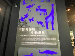 -浙江自然博物院(杭州馆)