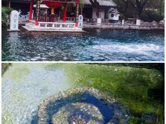-趵突泉景区