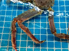 -ONE FULL 古董港式海鲜火锅