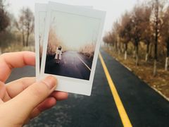 -泗洪洪泽湖湿地景区