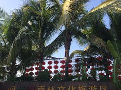 -呀诺达热带雨林