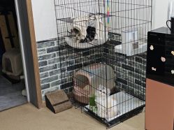 -荔刺青纹身·手穿孔饰品